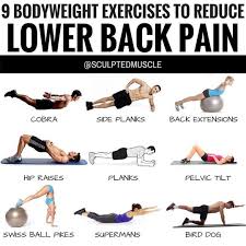 Pin On Back Exercises