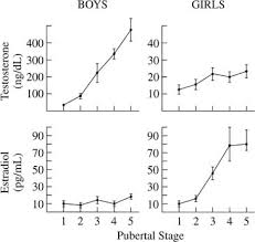 Physiology Of Puberty Glowm