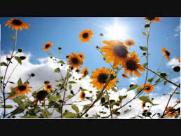 Chop suey (wake up!) — system of a down. Joshua Radin Brand New Day Lyrics Youtube
