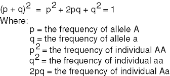 Maybe you would like to learn more about one of these? What Is 2pq In The Hardy Weinberg Equation Socratic Study Biology Chemistry Study Guide Biology Lessons