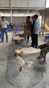 Win 🥇 4 ❤️❤️❤️❤️