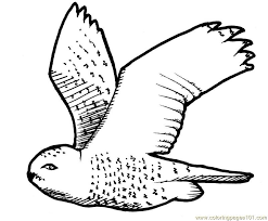 Maybe you would like to learn more about one of these? Flying Cartoon Bird Coloring Home
