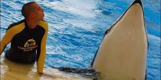Resultado de imagen de imagenes de loro parque