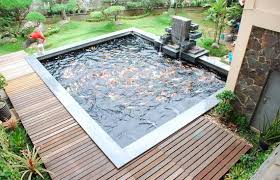 Kemudian buatlah kolam mini dengan wadahnya. Kolam Koi Mini Untuk Halaman Sempit Kolam Ikan Kolam Ikan Koi Aquaponics
