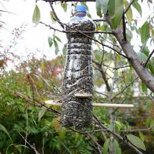 Die fuchs schablone für die fuchslaterne sowie die laterne anleitung gibt es hier. Diy Upcycling Idee Vogelfutterspender Aus Plastikflasche Selber Bauen Perlenkuchen