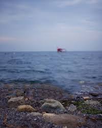 Landscape with seashells on tropical beach. Beach Side Blur Sky Background Free Stock Image