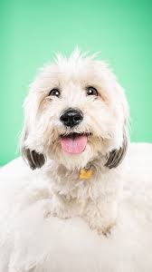 Mandy Dempsey Photography (@mandydempseyphoto) • Instagram-foto's en  -video's