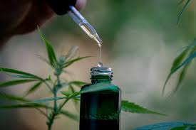 5 Best CBD Oils for a Calm & Cool 2021 - Charlotte magazine