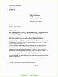 Entre infirmier(e), ergotherapeute, auxiliaire de puericulture, attache(e) d'administration hospitaliere, animateur, aide soignant(e), agent d' . Lettre De Motivation Stagiairisation Aide Soignante A Voir