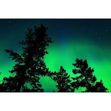 Instagram Photo By Harookz Harookz Via Iconosquare See The Northern Lights Northern Lights Canada Travel