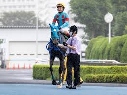 Apr 25, 2021 · no.1競馬サイト「netkeiba.com」がクイーンエリザベス2世c(g1).2021年4月25日シャティンの競馬予想・結果・速報・日程・オッズ・出馬表・出走予定馬・払戻・注目馬・見どころ・調教・映像・有力馬の競馬最新情報をお届け！ 5mkv P6qgcrzm