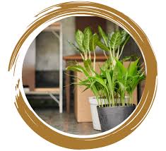 Umzugskosten Berlin I Hier alle Infos holen!