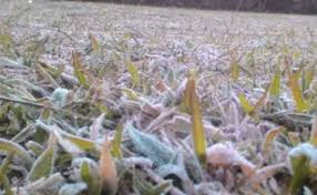 Maybe you would like to learn more about one of these? Wow Ada Salju Turun Di Dieng