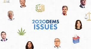 2020 Candidates Views On The Issues A Voters Guide Politico