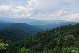 An edition of hutan hujan tropika semenanjung malaysia (1992). Senibina Hutan Hujan Tropika Hoi Akmal