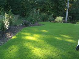 Scotts turf builder grass seed southern gold mix for tall fescue lawns is bred in the south for the south. Recommendations For Where And What Brand Fescue Grass To Buy For Reseeding Raleigh Farmers Market Best Raleigh Durham Chapel Hill Cary North Carolina Nc The Triangle Area Page 2 City Data Forum