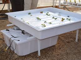 Ebb And Flow Table Greenhouse Benches Ebb And Flow Hydroponics Home