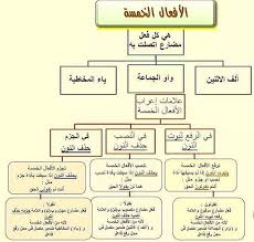 الافعال الخمسة ٢ Learn Arabic Language Arabic Language Learn Arabic Online