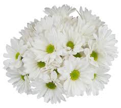Maybe you would like to learn more about one of these? Floral Department King Soopers