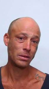 Animal Cruelty and Abuse