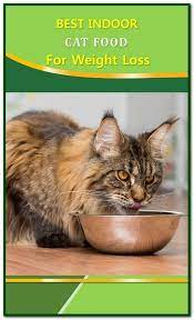 Pin On Cat Food