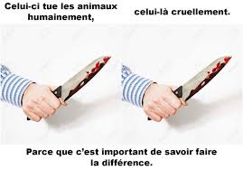 Epingle Sur Coco