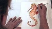 Seahorse drawings are the perfect way to bring the calm and beauty of the sea. Seahorse Drawing Youtube