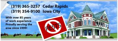 Over the last few years there have been many improvements to the chemicals available. Home Aaa Pest Control