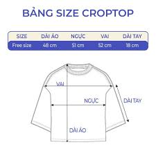 Áo thun croptop trơn cổ tròn tay lỡ form rộng unisex 40-65kg cotton nhiều  màu
