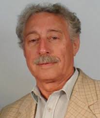 Michael Abraham (chemist)