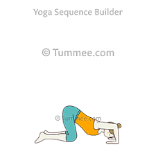 Tabletop legs in pilates is a position with back on the mat and knees bent with thighs perpendicular to the floor and shins parallel to the floor. Table Top Pose Wrist Stretch Bharmanasana Wrist Stretch Variations 76 Variations Of Table Top Pose Wrist Stretch Tummee Com