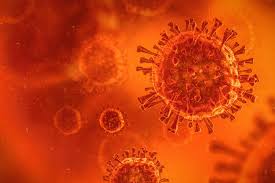 Mvd is a viral hemorrhagic fever (vhf), and the clinical symptoms are indistinguishable from ebola virus disease (evd). Vwhbe3qi74 Odm