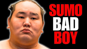 Mike McNelis Superbowl Party 2009 Sumo Suite Battle 8