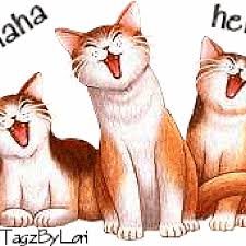 Joyeux anniversaire gif animé chat. Ha Ha Ha Chats Gif Anime Gratuit Le Blog De Lemondedesgifs Over Blog Com Videos Humoristiques Animation Gifs Animes Gratuits
