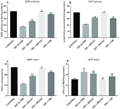 Image result for Chasmanthera dependens