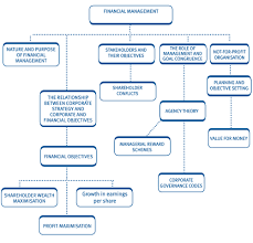 Chapter 1 The Financial Management Function