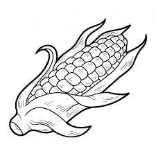 Bring a large pot of water to a boil. 1 312 Baby Corn Vector Images Free Royalty Free Baby Corn Vectors Depositphotos