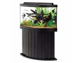 Aqueon 54 Gallon Corner Aquarium With Stand Corner Aquarium Aquarium Fish Tank