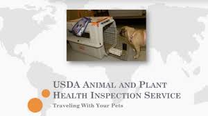 Get your pet's travel certificate certified by the usda, if necessary. Pet Travel Certification Art Museum Veterinary Center Philadelphia 19130 Amvc