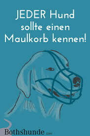 Bitten sie um unterstützung, um hilfe. 6 Grunde Warum Jeder Hund Einen Maulkorb Kennen Sollte Bothshunde Hundchen Training Hunde Hundetraining