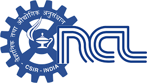 NCL Pune