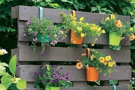 Kreativ Idee So Wird Aus Paletten Ein Bluhender Sichtschutz Paletten Ideen Garten Paletten Garten Bepflanzung