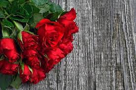We did not find results for: Red Rose Red Rose Bouquet Valentine S Valentine S Day Love Romanticism Rose Flowers Bouquet Romance Floral Pikist