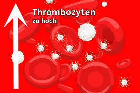 ☺️🥳falls du mir einen kaffee spendieren möchtest: á… Thrombozyten Zu Hoch Was Bedeutet Der Erhohte Thrombo Wert