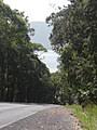These include bentinck island, cherbourg, doomadgee, mona mona, mornington island, palm island, woorabinda and yarrabah. Yarrabah Queensland Wikipedia