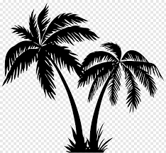 Silhouette Arecaceae Palms Silhouette Free Png Palm Tree Drawing Palm Tree Artwork Coconut Tree Drawing