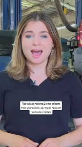 City officials in Ferndale say it’s officially rat season: it starts now  and gets worse in the fall. You may see them running through the streets or  even inside your car, chewing through wires and ...