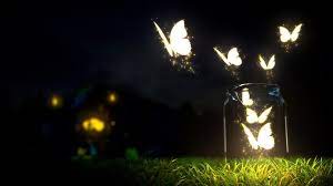 Download Best Hd Wallpapers For Laptop 1366x768 Free Download Gallery Butterfly Wallpaper Photography Wallpaper Butterfly Lighting
