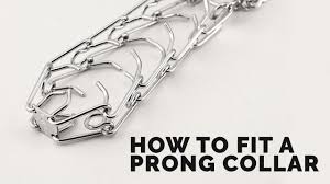 how to fit a prong collar