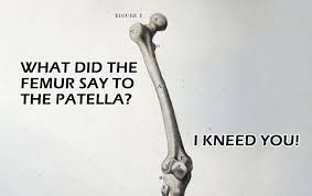 Femur pronunciation with meanings, synonyms, antonyms, translations, sentences and more which is the right way to pronounce the month outubro in portuguese? Science Jokes Funny Science Jokes Science Humor
